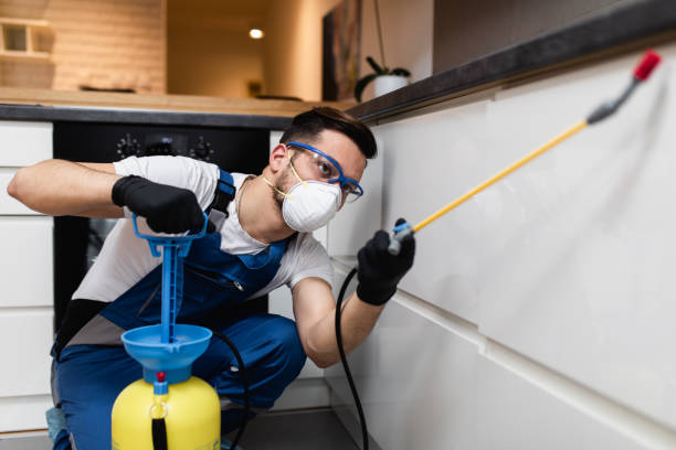 Best Best Pest Control Companies  in Harrison, OH