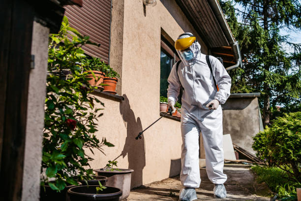Best Pest Prevention Services  in Harrison, OH