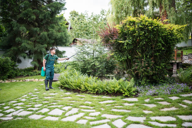 Best Pest Removal Services  in Harrison, OH