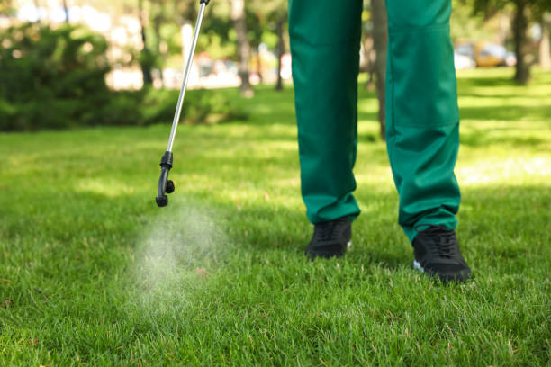 Best Affordable Pest Control Services  in Harrison, OH