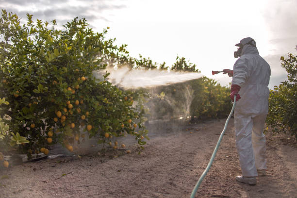 Best Affordable Pest Control Services  in Harrison, OH