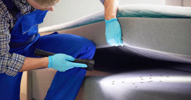 Best Ant Control Services  in Harrison, OH