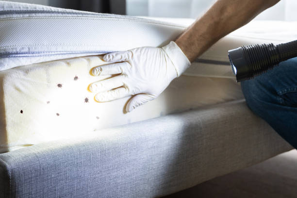 Pest Prevention Services in Harrison, OH