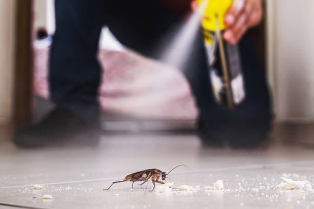 Pest Control for Restaurants in Harrison, OH