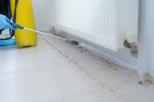 Harrison, OH Pest Control Company